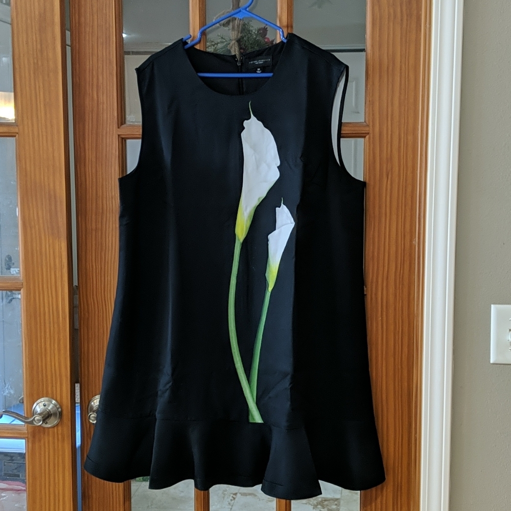 Victoria Beckham Dress 2X NWOT